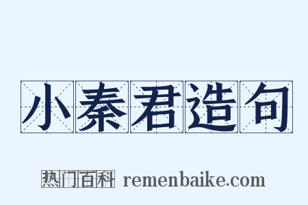 小秦君造句是什么意思的图片